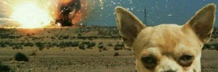 sanloz_daniel's profile banner image