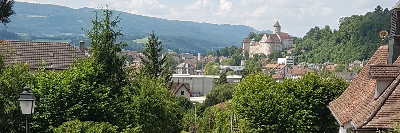 Sébastien Jubin banner