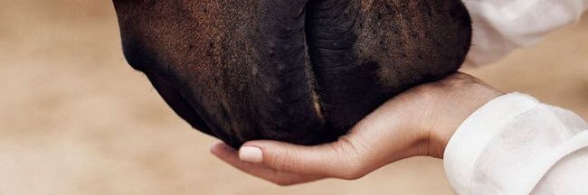 everythngchance's profile banner image