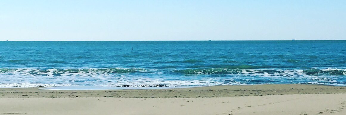 buccisbucci's profile banner image