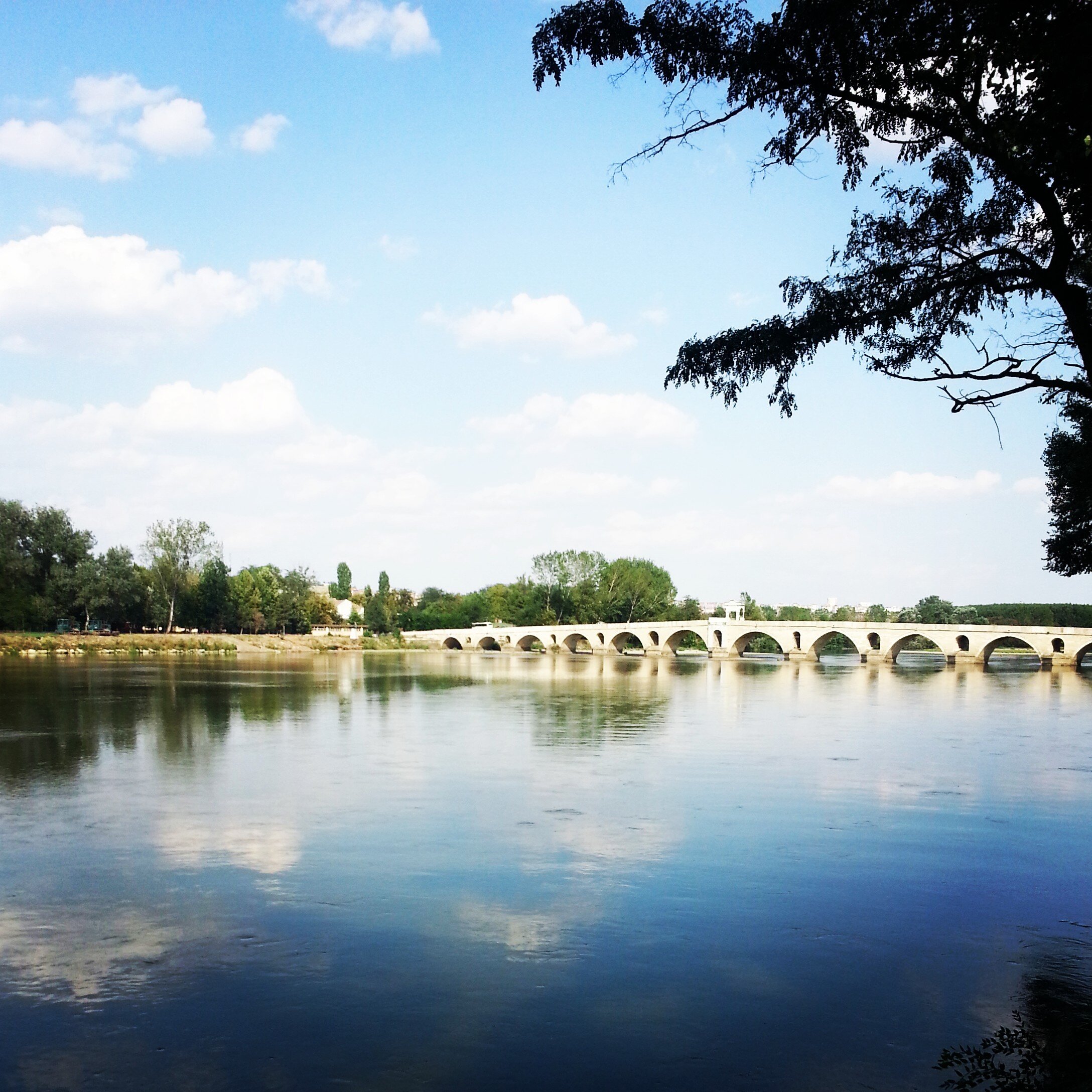 Vildan Bayram Karakuşlu banner