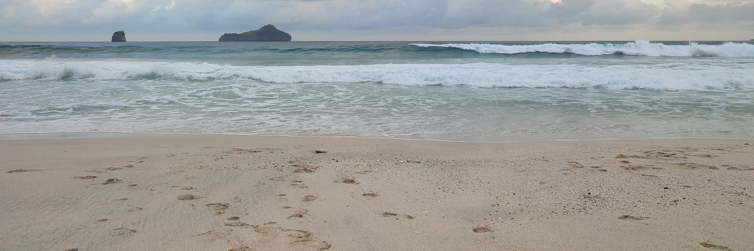 BoringNull's profile banner image