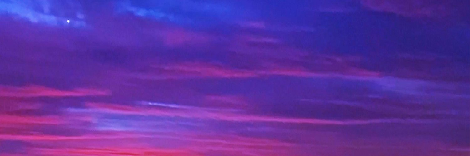 Dizma banner