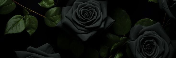 Kennuhh's profile banner image