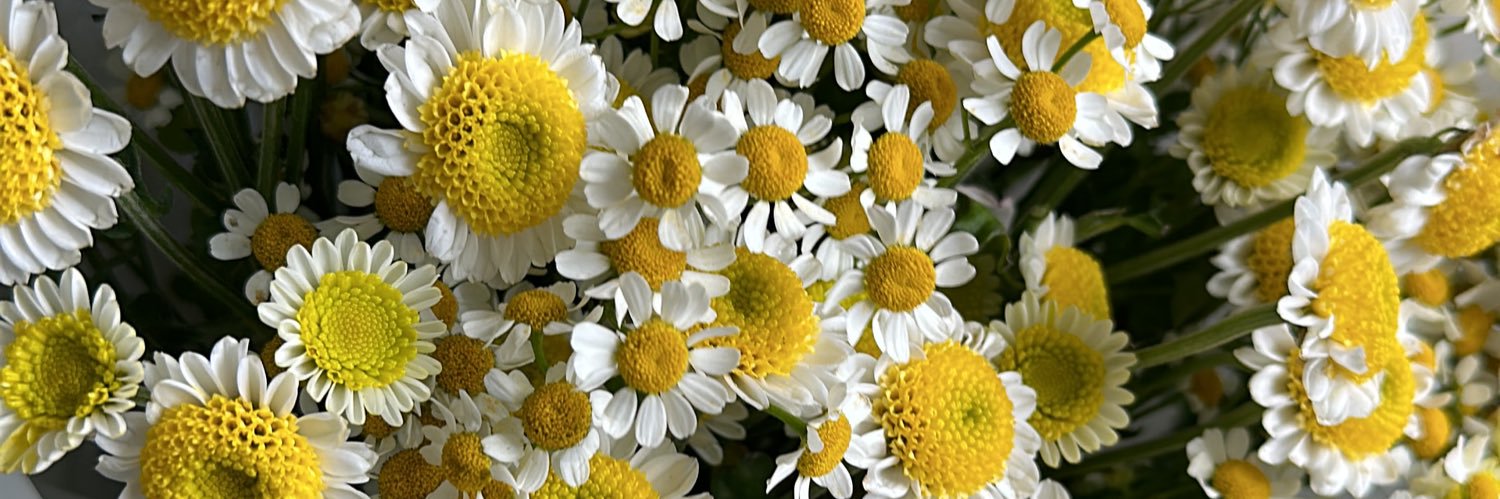 ulianakush's profile banner image