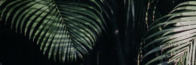 Lowkey_LingLing's profile banner image