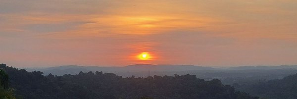 shshr4 Profile Banner