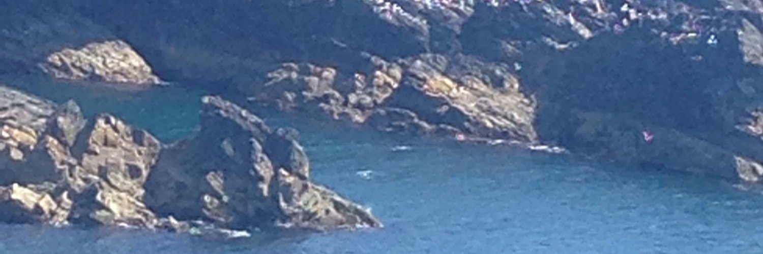 Jackie Manning banner