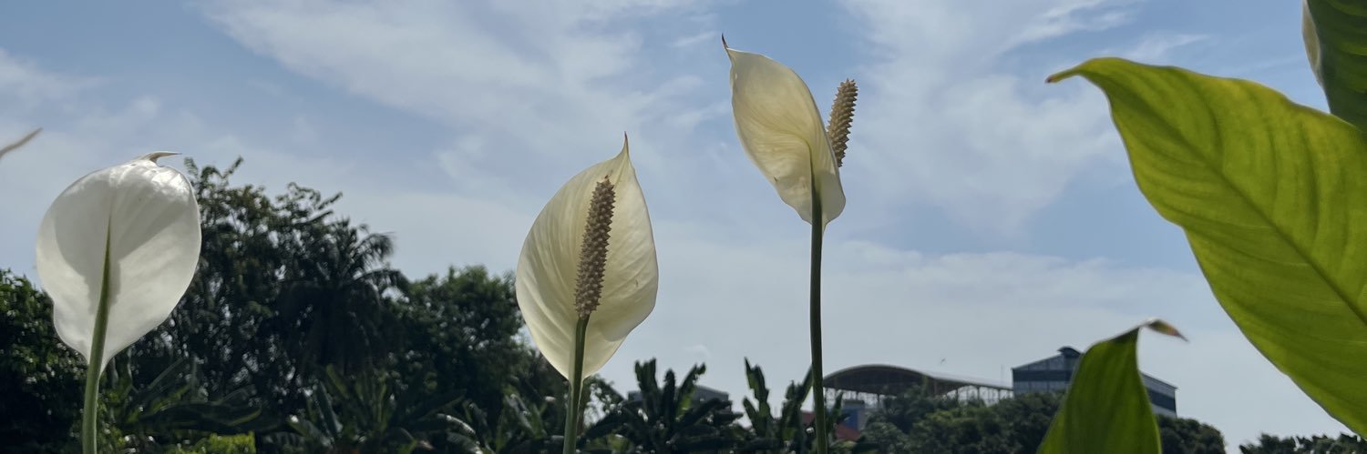 cahyasyafa's profile banner image