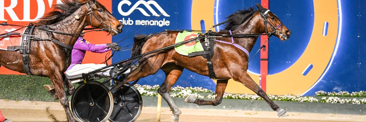 sofia arvidsson banner