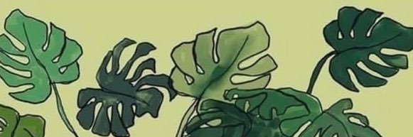 stephh_buck's profile banner image