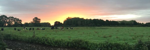 HannahRees6 Profile Banner