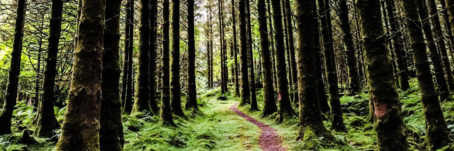 GeorgeTeale's profile banner image