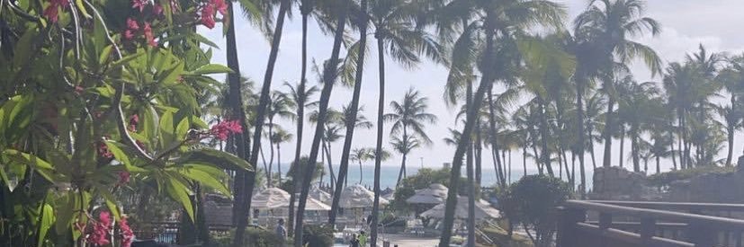 therealfrosted banner