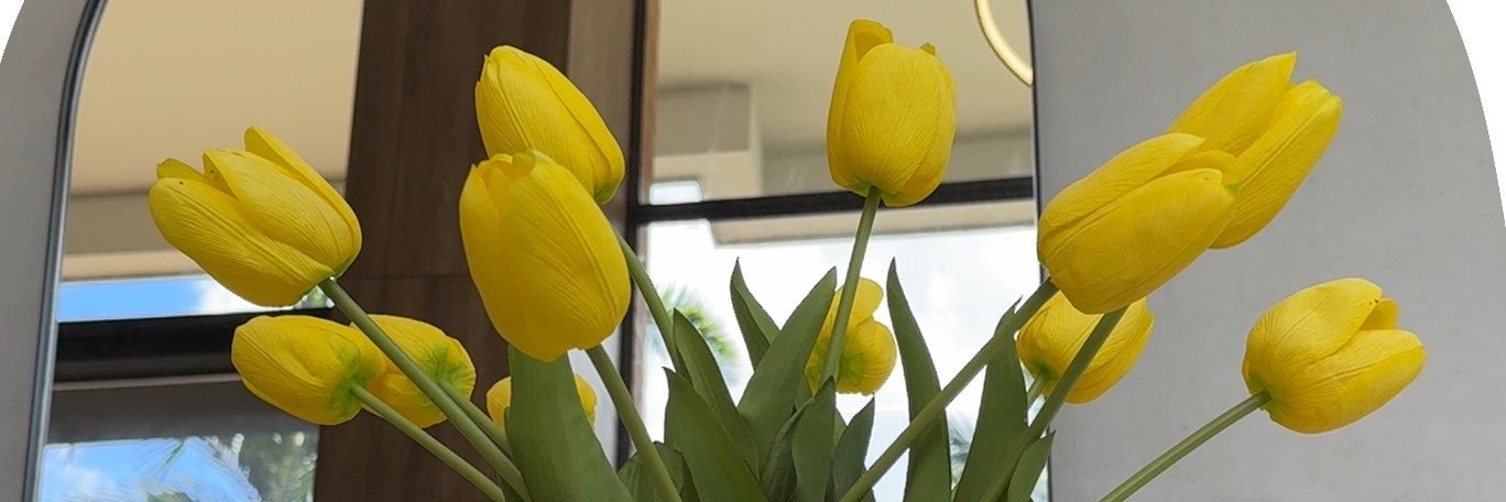 AmandoteCBG's profile banner image
