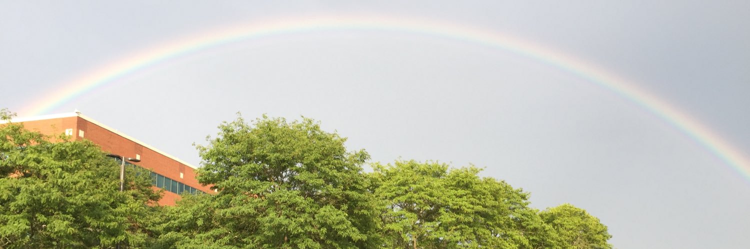 Dennis Carmody banner