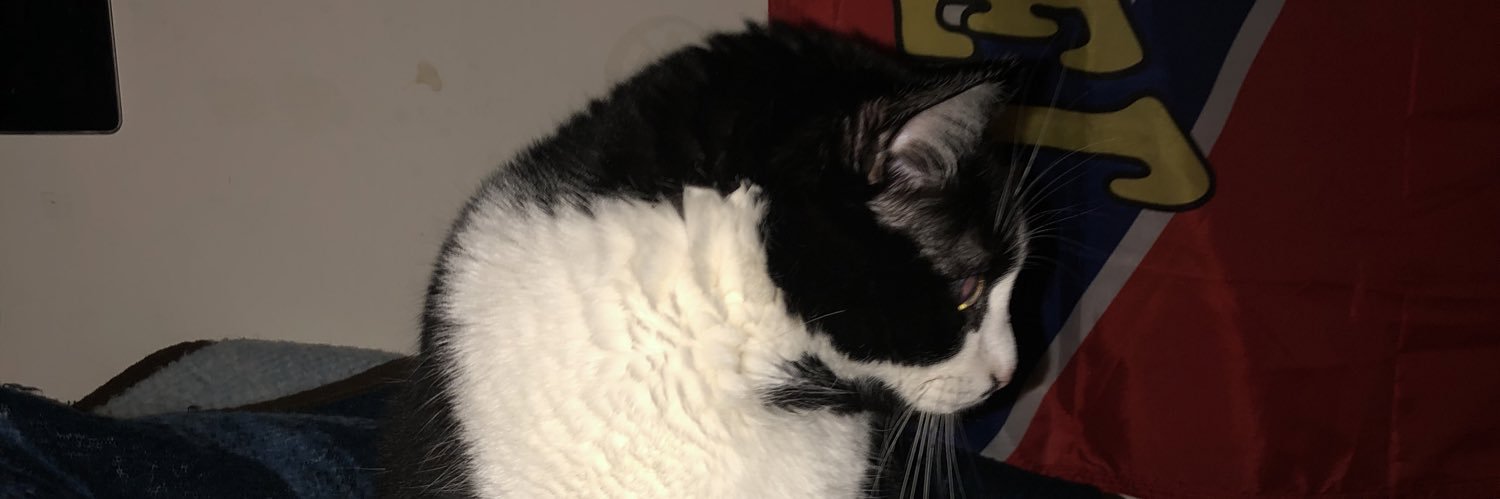MichaelWager2's profile banner image