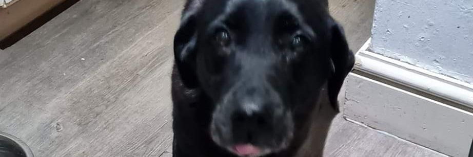 Baroness Rawstron of Accrington banner