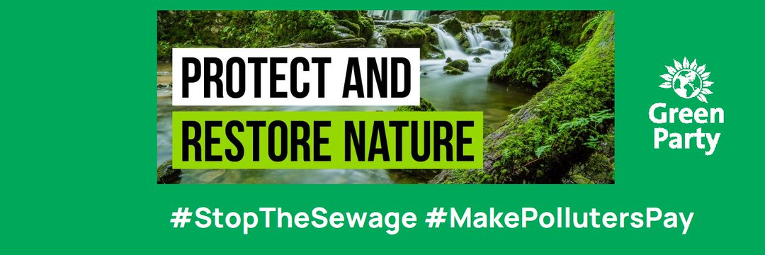 Rachel Smith-Lyte banner