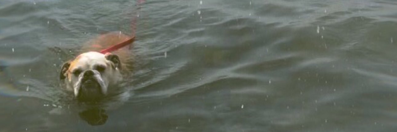 tunasuohri's profile banner image