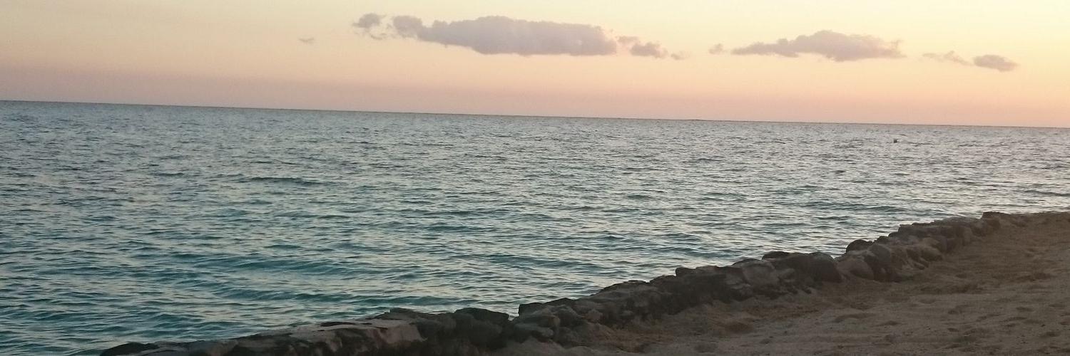 MissSandy01's profile banner image