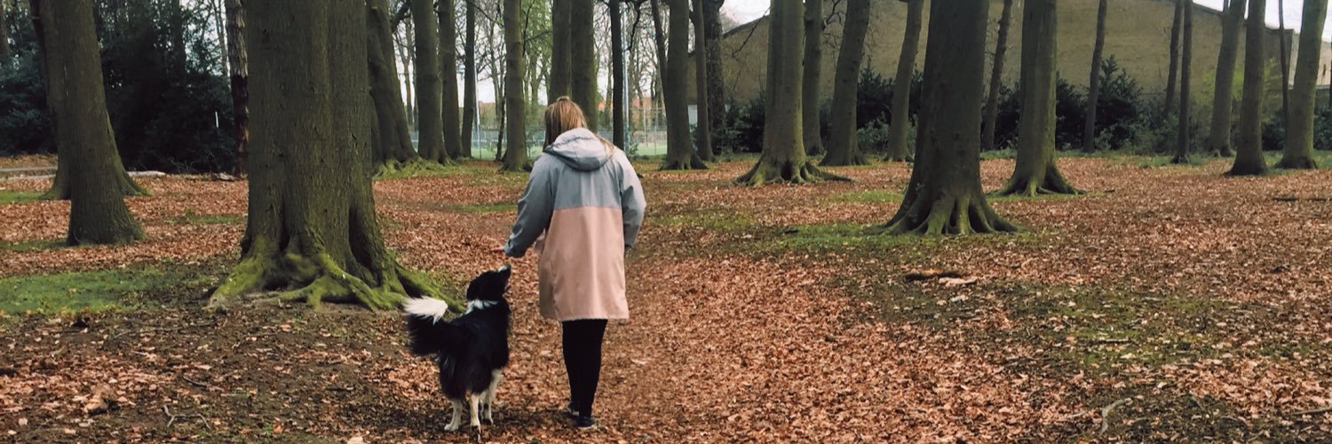 MaesNicky's profile banner image