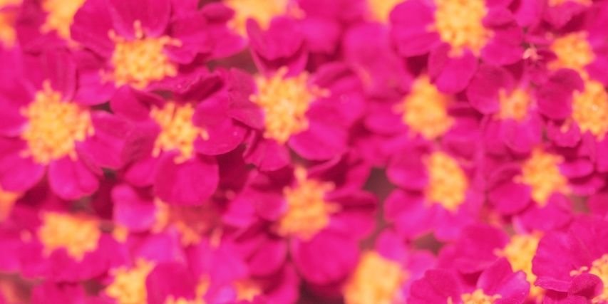 brissgj's profile banner image