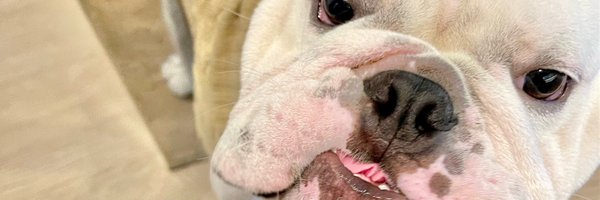 kmariah_ Profile Banner