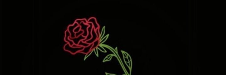 gingerrbc's profile banner image