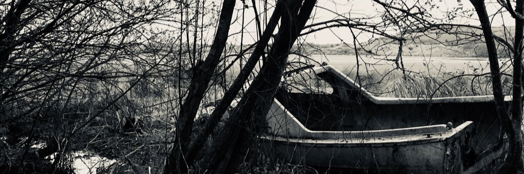 skipelet's profile banner image