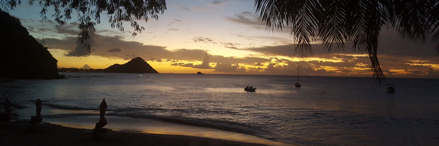 Matt Phillips 💙 banner