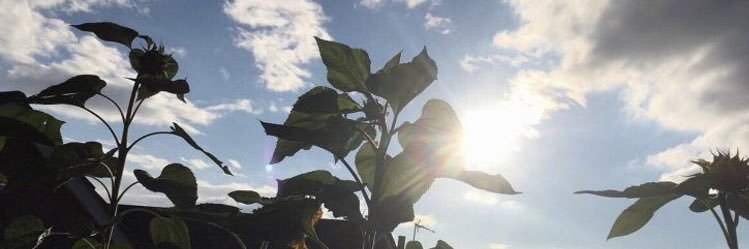 Altaaf_92's profile banner image