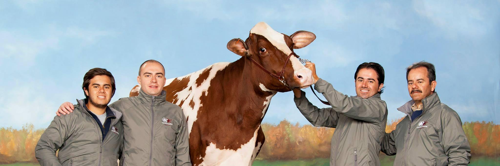Colganados's profile banner image