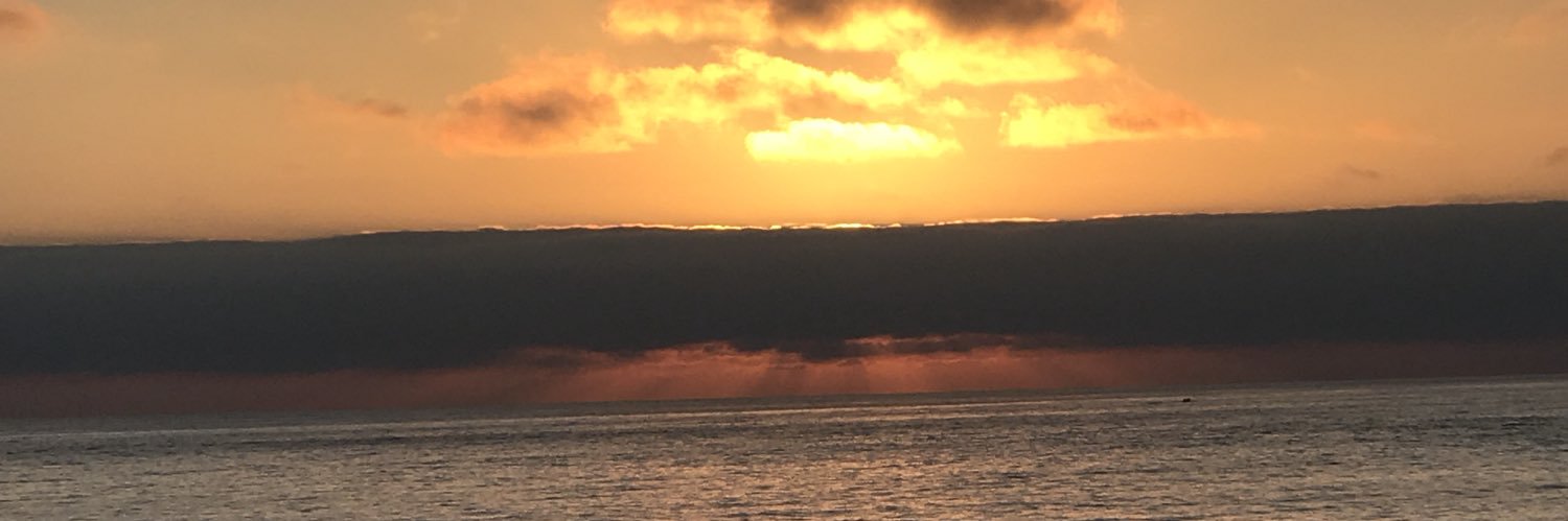 RoosyBGoosey's profile banner image