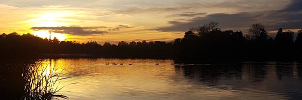 Helen Reeves Profile Banner