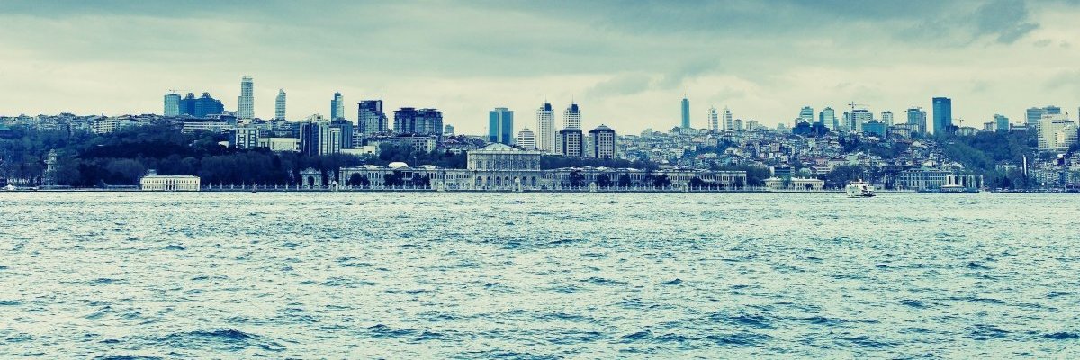 Leoloucomoema's profile banner image