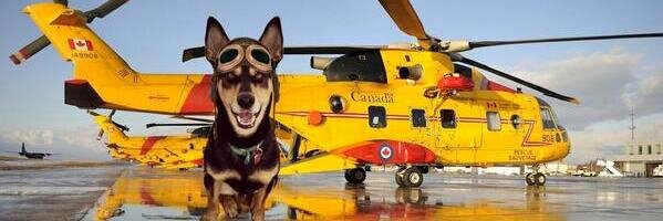 LokiDoberdog's profile banner image