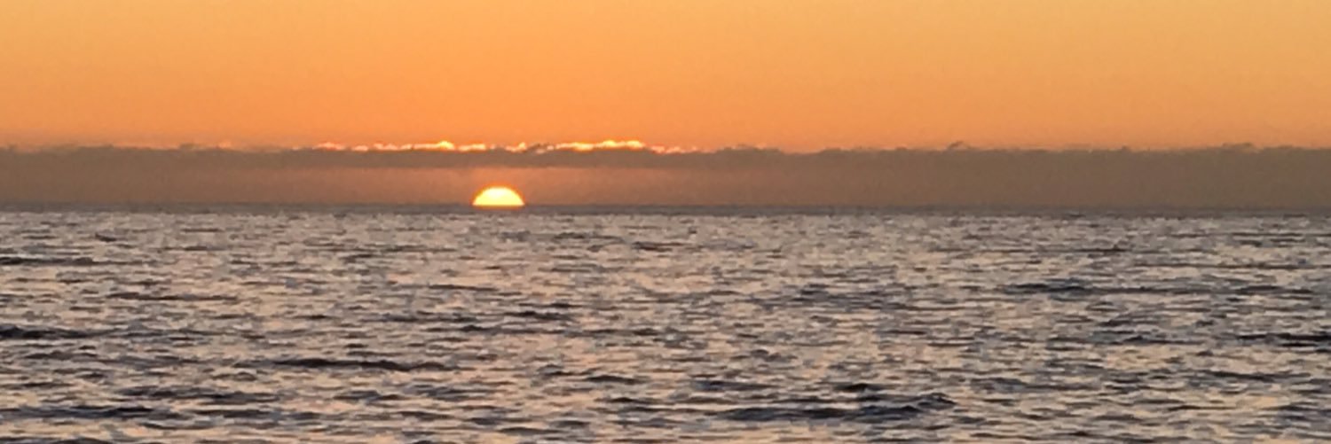 MeLlamanDelia's profile banner image