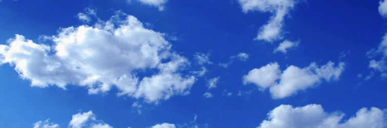 Aida_Perea's profile banner image