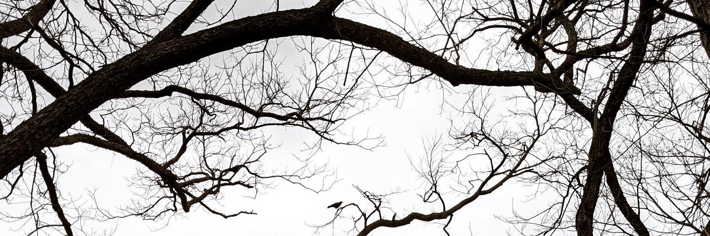 brosscaohtx's profile banner image
