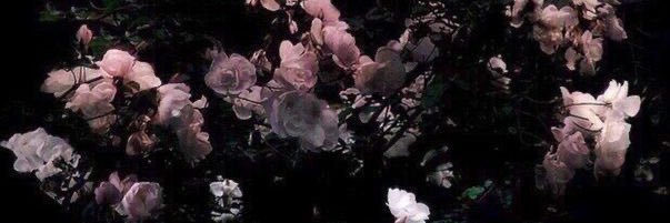 mayynjm's profile banner image