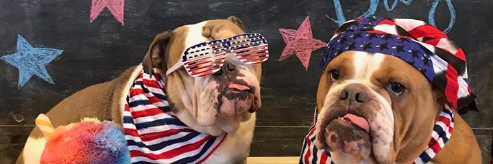 THEFEBR's profile banner image