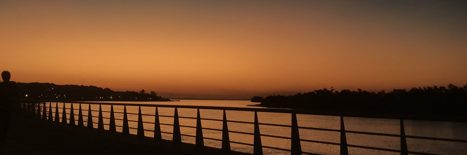 luzleoness's profile banner image