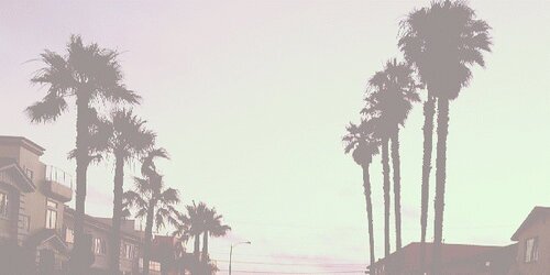 _RonnyPow's profile banner image