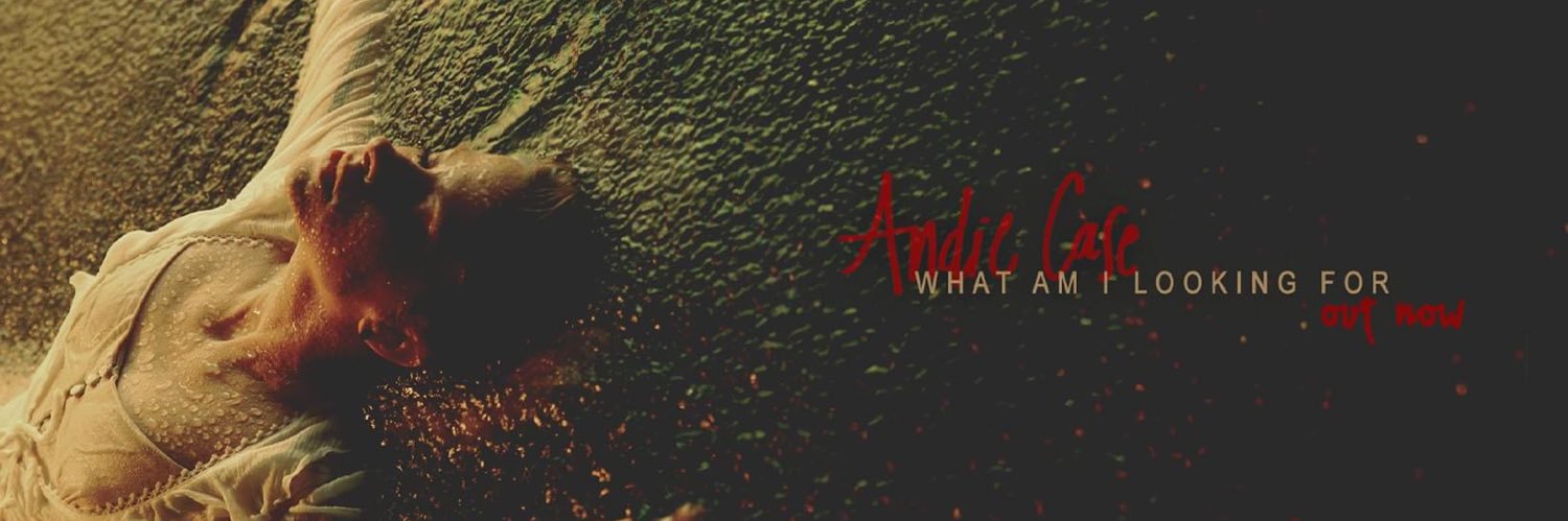 Andie Case banner