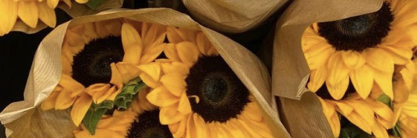 danmaria98's profile banner image