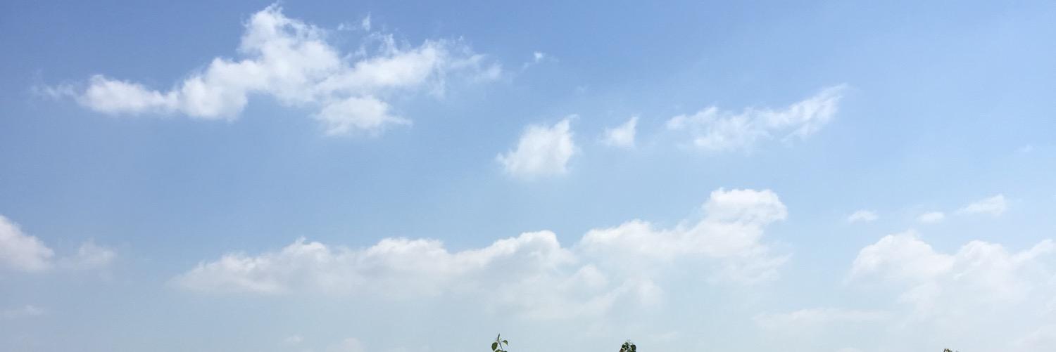 bunnybeet's profile banner image