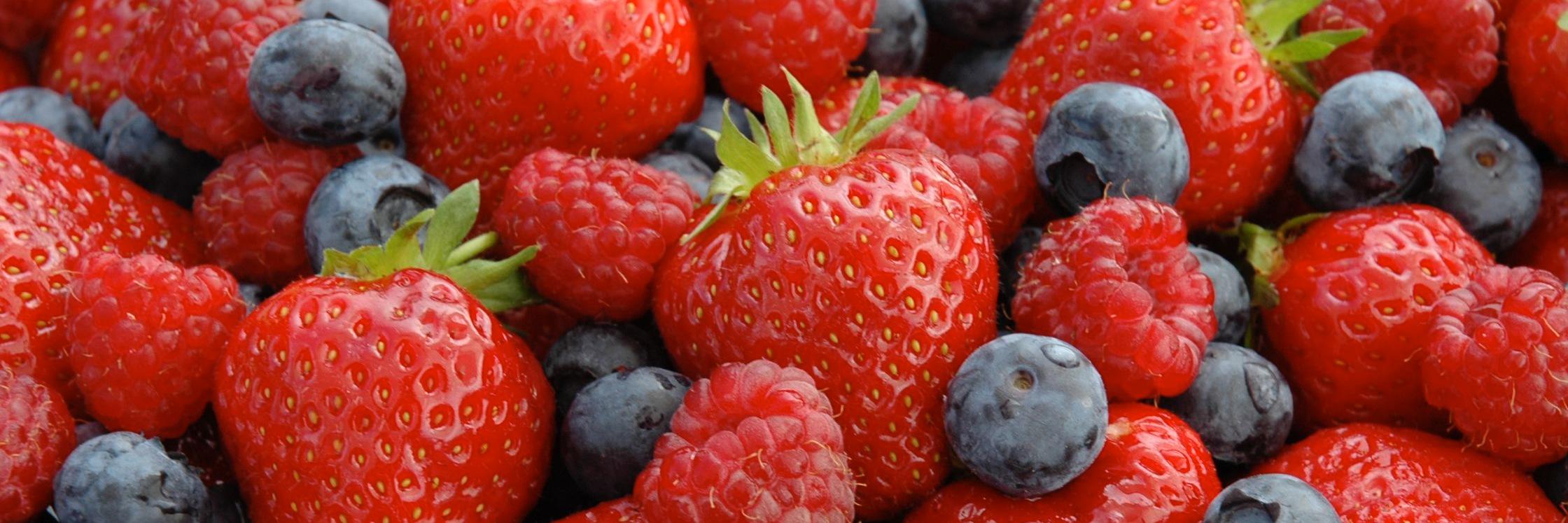 CurtMaberryFarm's profile banner image