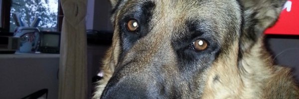 TageChe98 Profile Banner