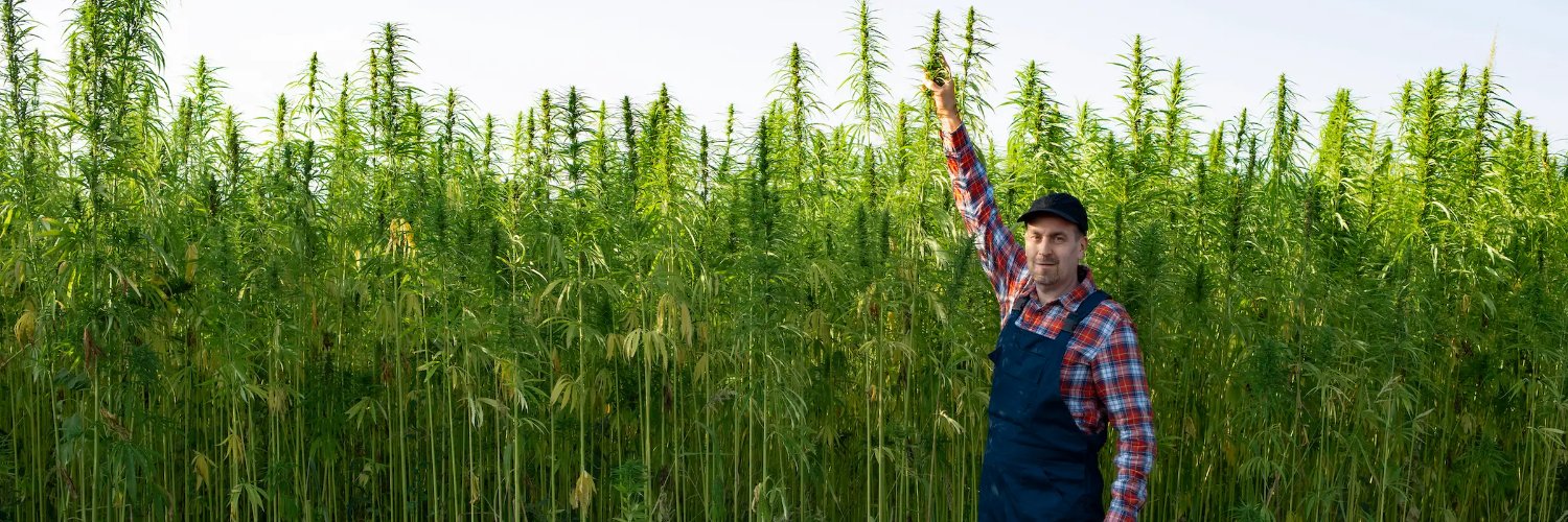 Bulk Hemp Warehouse banner